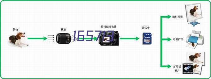 立式真空干燥箱型号：DZF-6090(90L)