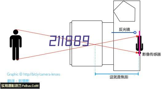 本迪高精灵女篮