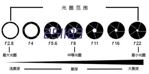 喜报|热烈祝贺华夏游乐获得首个游乐行业QTL认可实验室资质