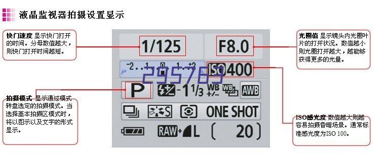 刺客学妹