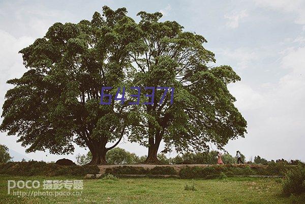 首页_宝鸡智慧校园登录