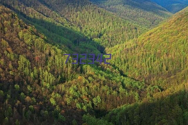 道岔,无极绳道岔,气动道岔,矿用道岔,气动阻车器,双开道岔-林州市正大煤矿机械有限公司